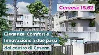 Cervese 15 62