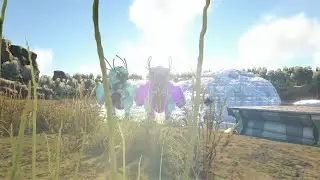 [Ark Official] Getting stopped from raiding Tek base/Funny Shi/t After 12