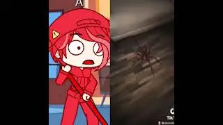 donaldducc spider