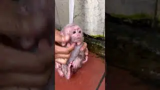 Биби принимает ванну