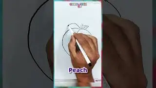 How to Draw Peach I Peach Fruit I Fruits Drawing I Peach very crispy and fresh - For fruit lovers