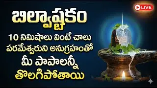 LIVE : Lord Shiva Songs | Tridalam Trigunaakaaram - Bilvashtakam | Lord Shiva Telugu Bhakti Songs