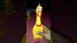 A squeaky chicken effect sound #rubberchicken #viral #fyp #chicken #toys #trending #shortfeed