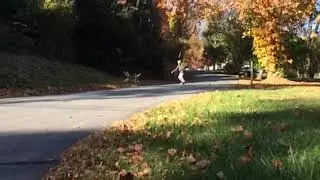 Stand Up Slide Longboard Fall Colors East Coast Powell Samurai Beta Deck Aera Trucks These Wheels