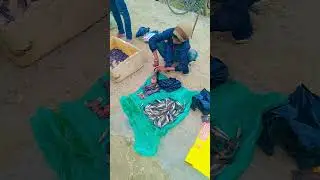 Choto bacha machali ka ka m#video thankiu