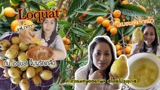 Eat Loquat with Thai dipping mix and Fresh lemon tea, Vlog 12