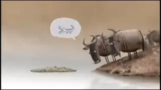 Magar hare nare lakadi hare