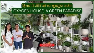 हिसार में प्रीति जी का खूबसूरत गार्डन : Oxygen House, A Green Paradise