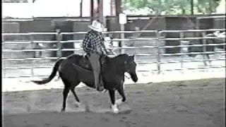 Pooch Chex & Glenn Miller 1998 Novice horse Non Pro Mtn Affiliate finals