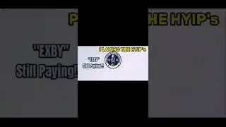PLAYING THE HYIPS! 