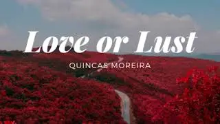 Love or Lust - Quincas Moreira  No Copyright Music  YouTube Audio Library 2020