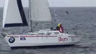 REGATA25.05.2012.m2t