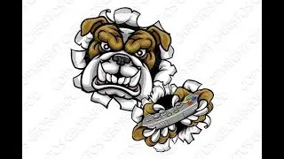 TheFlyingDog In  Actiune!!!