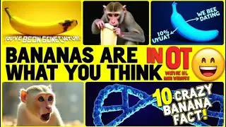 9 Mind Blowing Banana Facts You Won't Believe #facts #banana #kidslearning #fruit #education