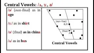 Phonetics for Everyone (Central Vowels)