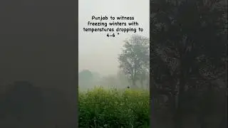 Freezing winters with temperatures 4-6 degrees to be witnessed in Punjab #winterseason #punjab