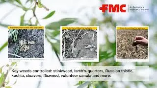 Avireo&trade; Herbicide Explained | Bryan O&rsquo;Hara, FMC Canada