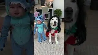Our Baby and Dog's Matching Halloween Costumes!