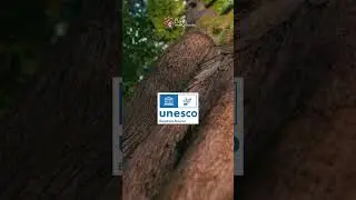 Borgo San Faustino | Riserva MAB UNESCO del Monte Peglia