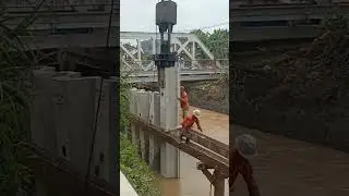 paku bumi di sungai #shorts