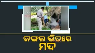 Excise Department Raids Inside Forest To Seize Country Liquors In Balangir