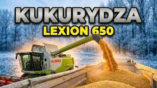 Mróz 👉 -9° Kombajn CLAAS Lexion 650 🎯 opróżnianie zbiornika 👉 kukurydza na ziarno 🌽