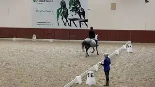 Prelim 18 Dressage Test 72.30% @ Merrist Wood