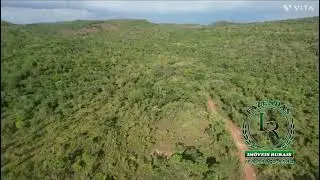 FAZENDA  LAVOURA BRUTA TOCANTINS