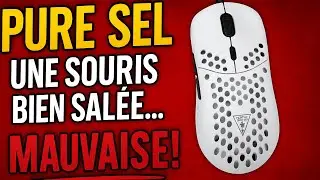 Turtle Beach Pure Sel : une souris qui manque de go&ucirc;t : #turtlebeach  #PureSel #sourisgaming  #test