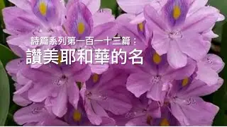 詩篇系列第一百一十三篇：要讚美耶和華的名
