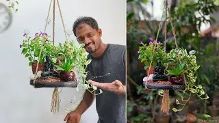 How to Make a Decorative Hanging Plants Looking to Add a Touch of Nature to Indoor//GREEN PLANTS