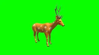 Deer Eat Green Screen Video Footage Free #3danimation #animals #greenscreen #deer