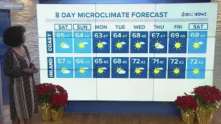 Sunny San Diego on the first day of 2021, weekend temperatures cooler