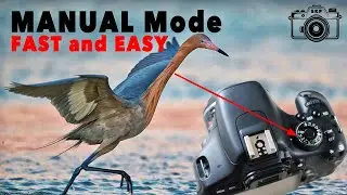 Mastering MANUAL Mode for Better Photos!