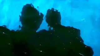 Freshberry - Danse Macabre