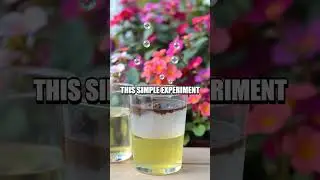 Creating a DIY Soil pH Tester