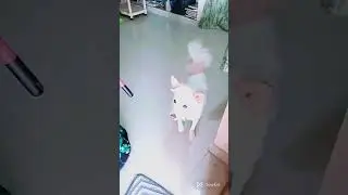 House cleaning please like share and subscribe 