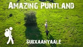 Exploring the Splendid Landscape of Puntland's Hawd Forest