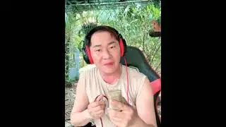 Những đồi hoa sim Nhật Khang