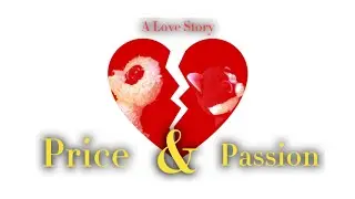 Price & Passion ( A Beanie Boo Love Story Skit ) Beanie Boo Fantasy Presents