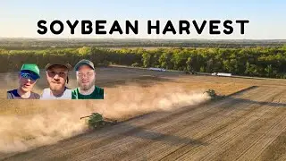 Kansas CATTLE and SOYBEAN Farmer | Day In The Life 2024