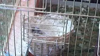 MOV04382