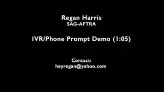IVR/Phone Prompt Demo