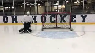 Bauer Development Series: Adaptive Recovery to Post Integration with Bump
