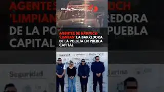 Polic&iacute;as de Puebla capital eran de La Barredora