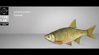 Fishing Planet - Saint Croix  - Golden Shiner - Float