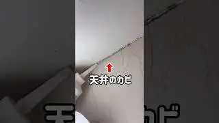 【風呂掃除】天井のカビを簡単に落とす方法