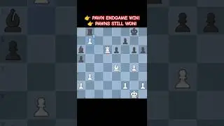&ldquo;Bishops ♗ & Rooks ♜ Traded &rarr; Pawn Endgame WIN! ♙🔥&rdquo;