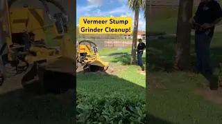 Hurricane Ian Stump Grinder Storm Cleanup #hurricaneian #hurricane #vermeer