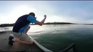 Epic Chickamauga lake white bass 5-2018